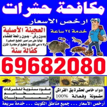 مكافحة حشرات - مكافحة حشرات بالكويت - شركة مكافحة حشرات - الاتصال 69682080 - مكافحة حشرات حولى - رش حشرات - شركة رش حشرات - مكافحة حشرات وقوارض